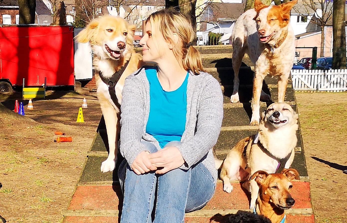 Welpenschule & Hundeschule Dog Trainer Mobil in Langenfeld und Solingen Welpenschule & Hundeschule Dog Trainer Mobil in Langenfeld und Solingen
