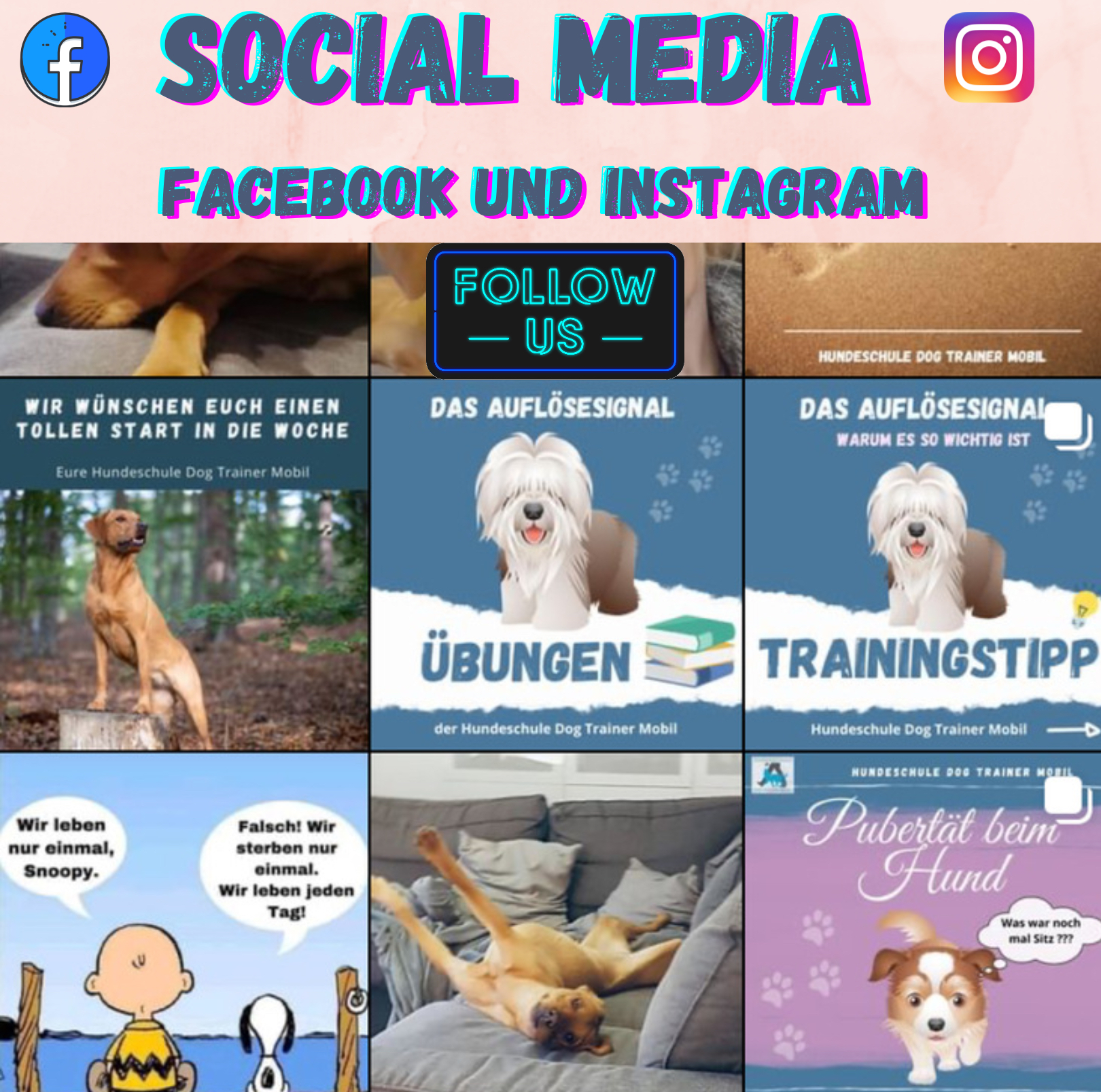 Welpenschule & Hundeschule Dog Trainer Mobil in Langenfeld und Solingen