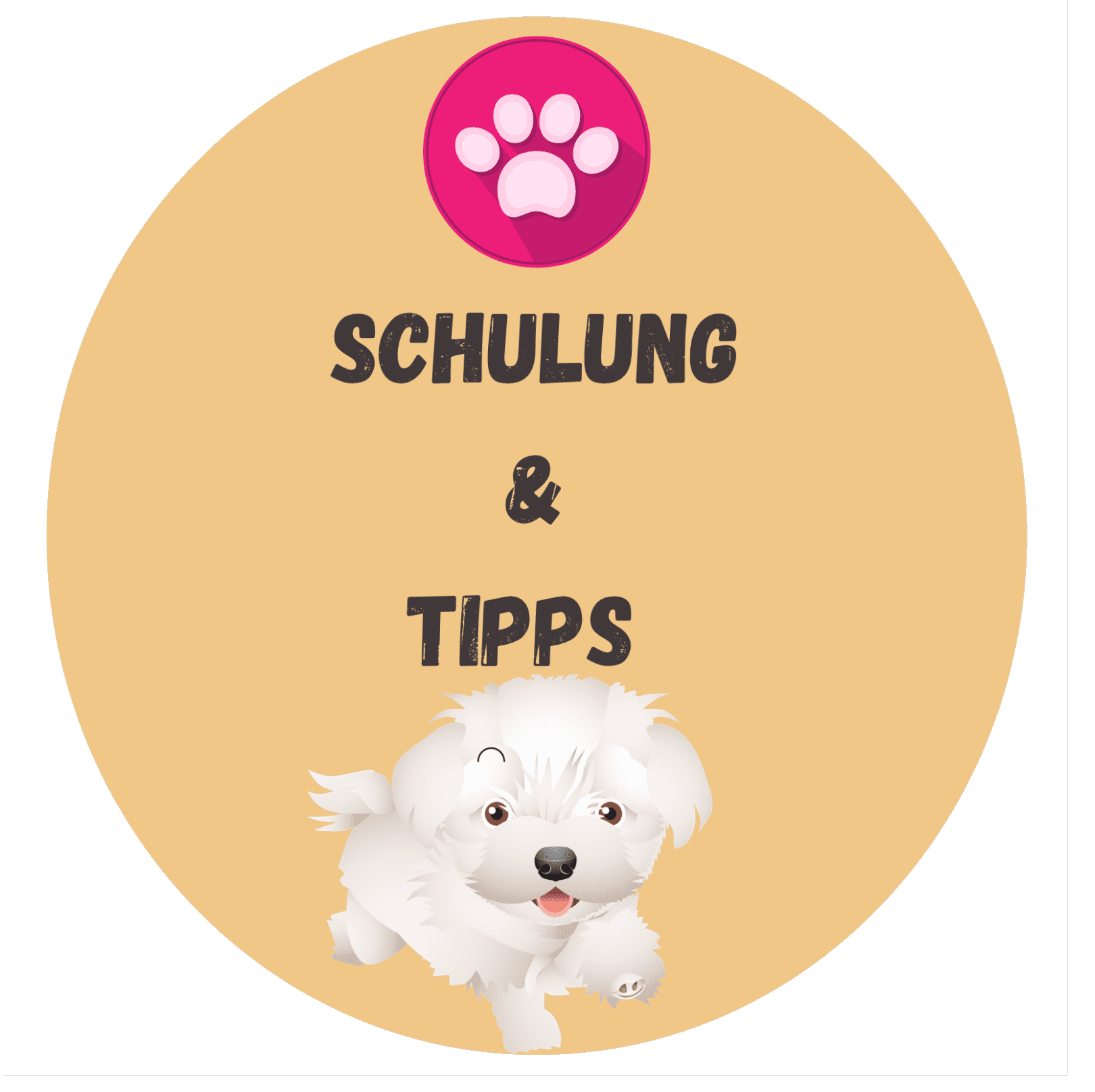 Hundeschule und Welpenschule in Langenfeld und Solingen