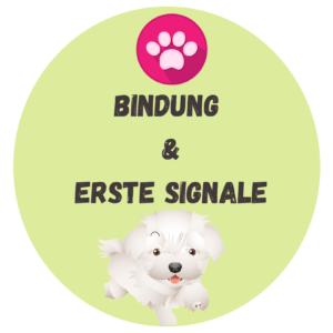 Inhalte der Welpenspielgruppen / Welpenschule für Bindung und Erste Signale Inhalte der Welpenspielgruppen für Bindung und Erste Signale bei der Welpenspielgruppe der Hundeschule Dog Trainer Mobil in Langenfeld und Solingen