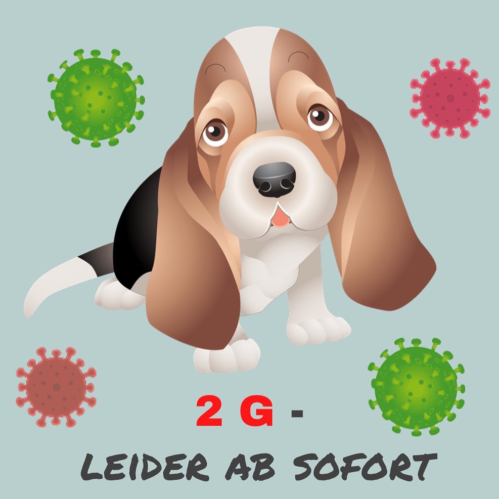 Corona News Hundeschule Dog Trainer Mobil in Langenfeld und Solingen Welpenschule Langenfeld
