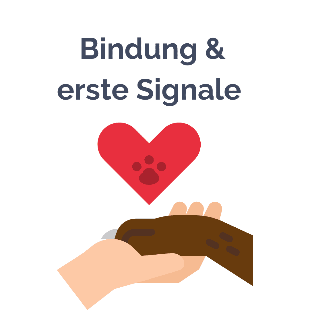 Bindung und erste Signale