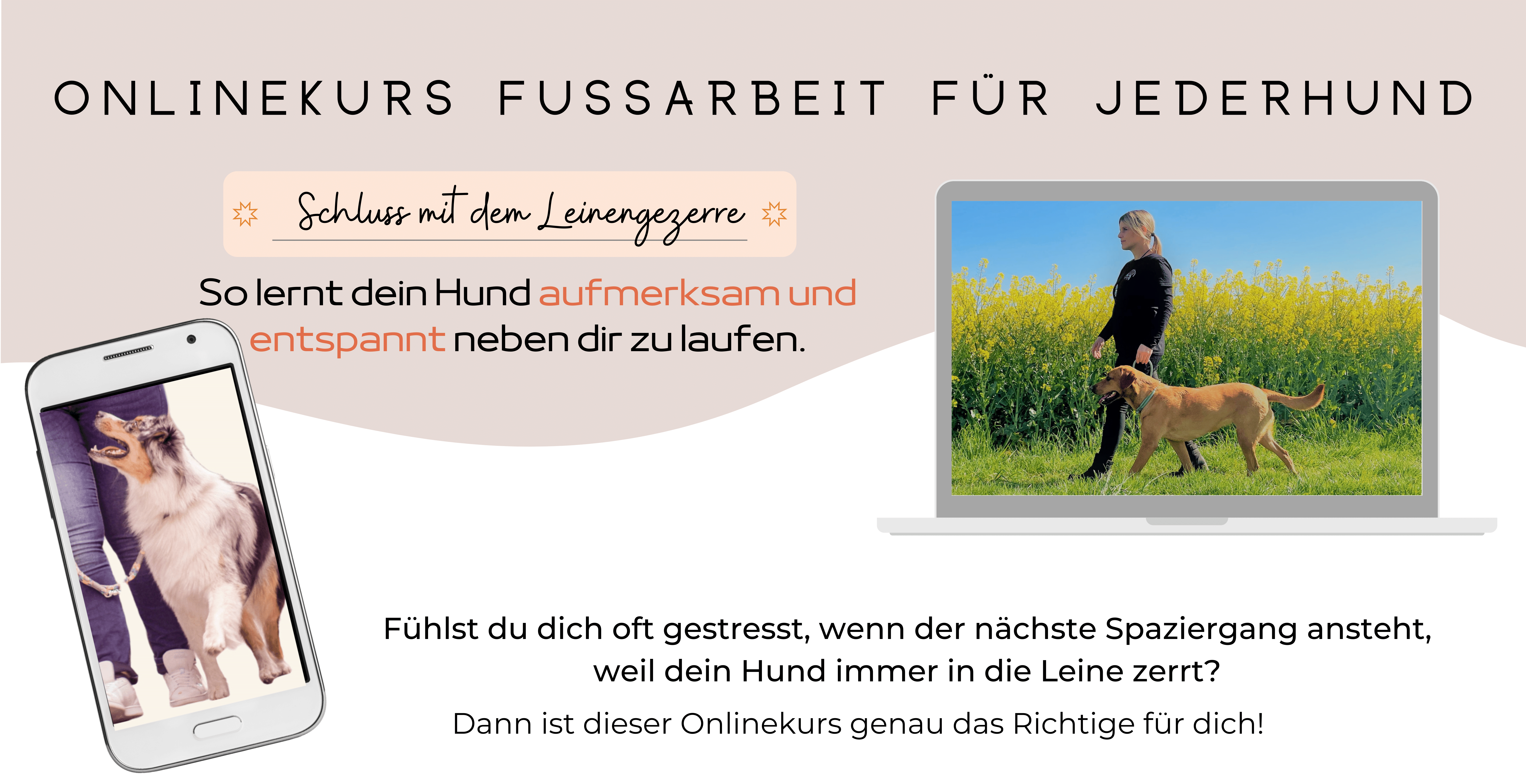 Onlinekurs Schluss mit dem Leinengezerre